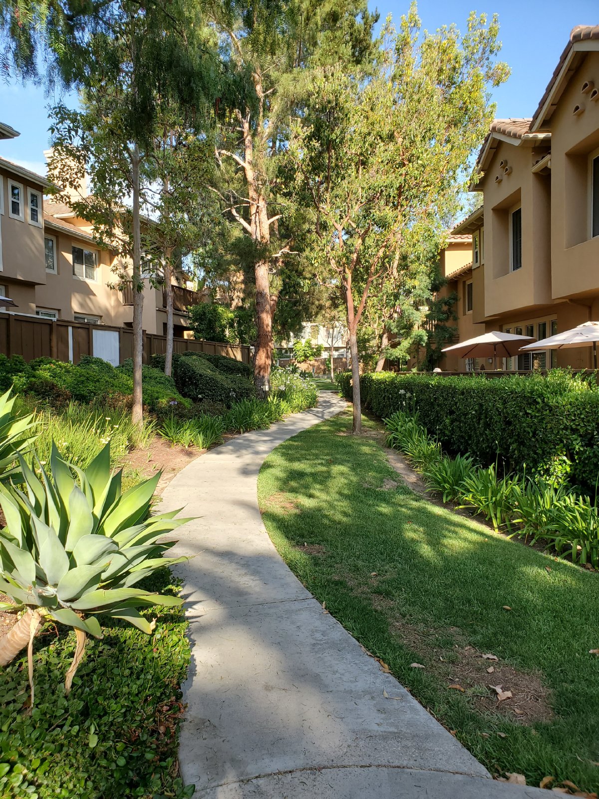 Charming 1 Bedroom/1 Bath Condo with Loft property image