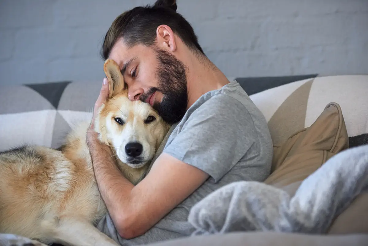 Making Room for Pets: Why Irvine Rental Owners Should Consider a Pet-Friendly Policy